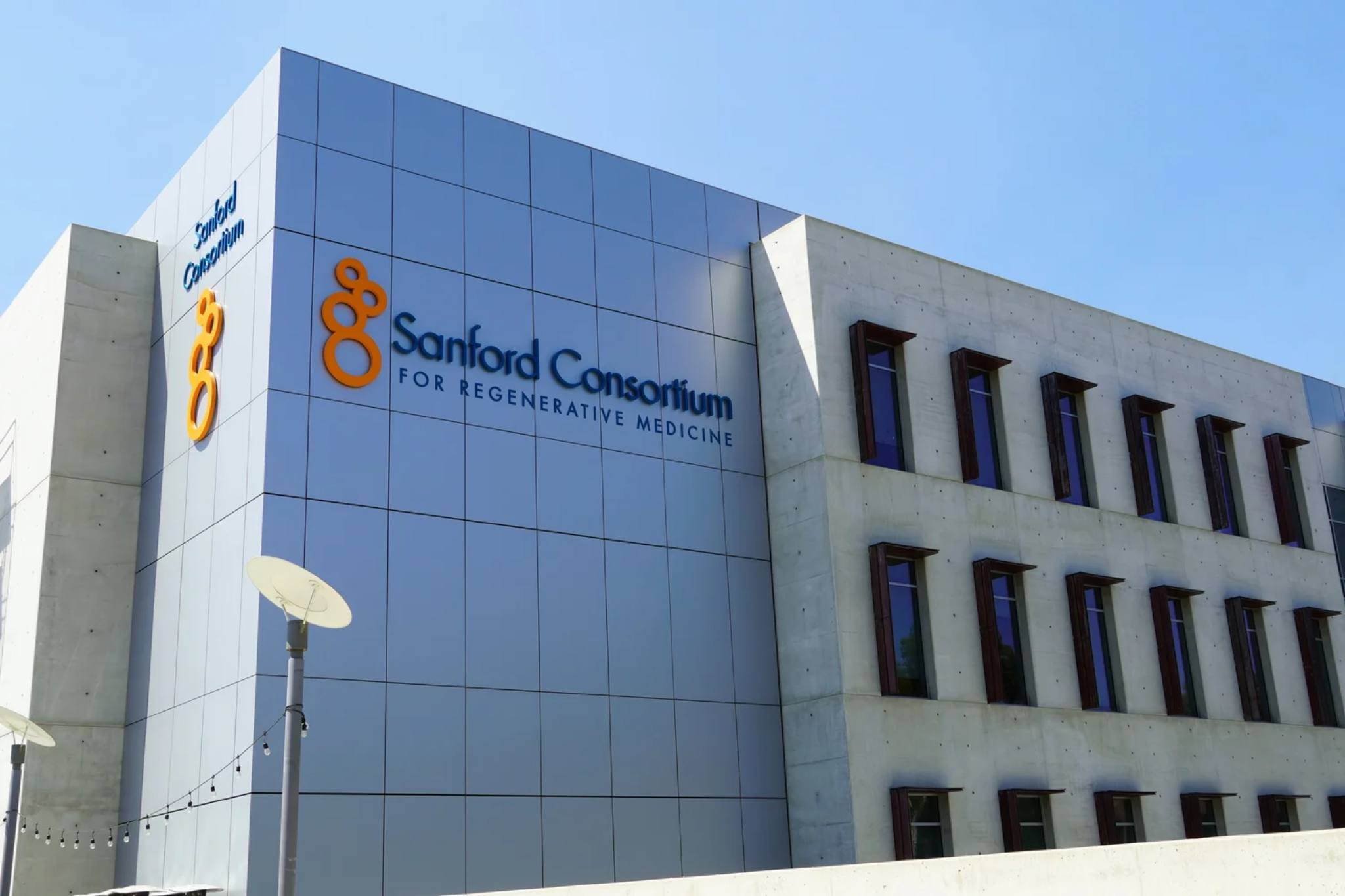 Muotri Lab — brain organoids