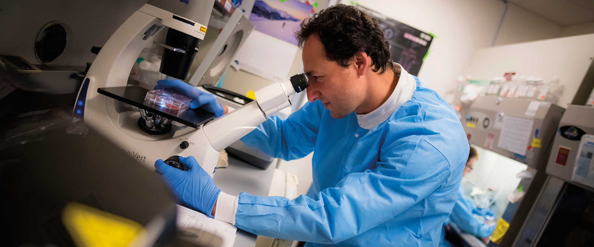 Muotri Lab — UC San Diego