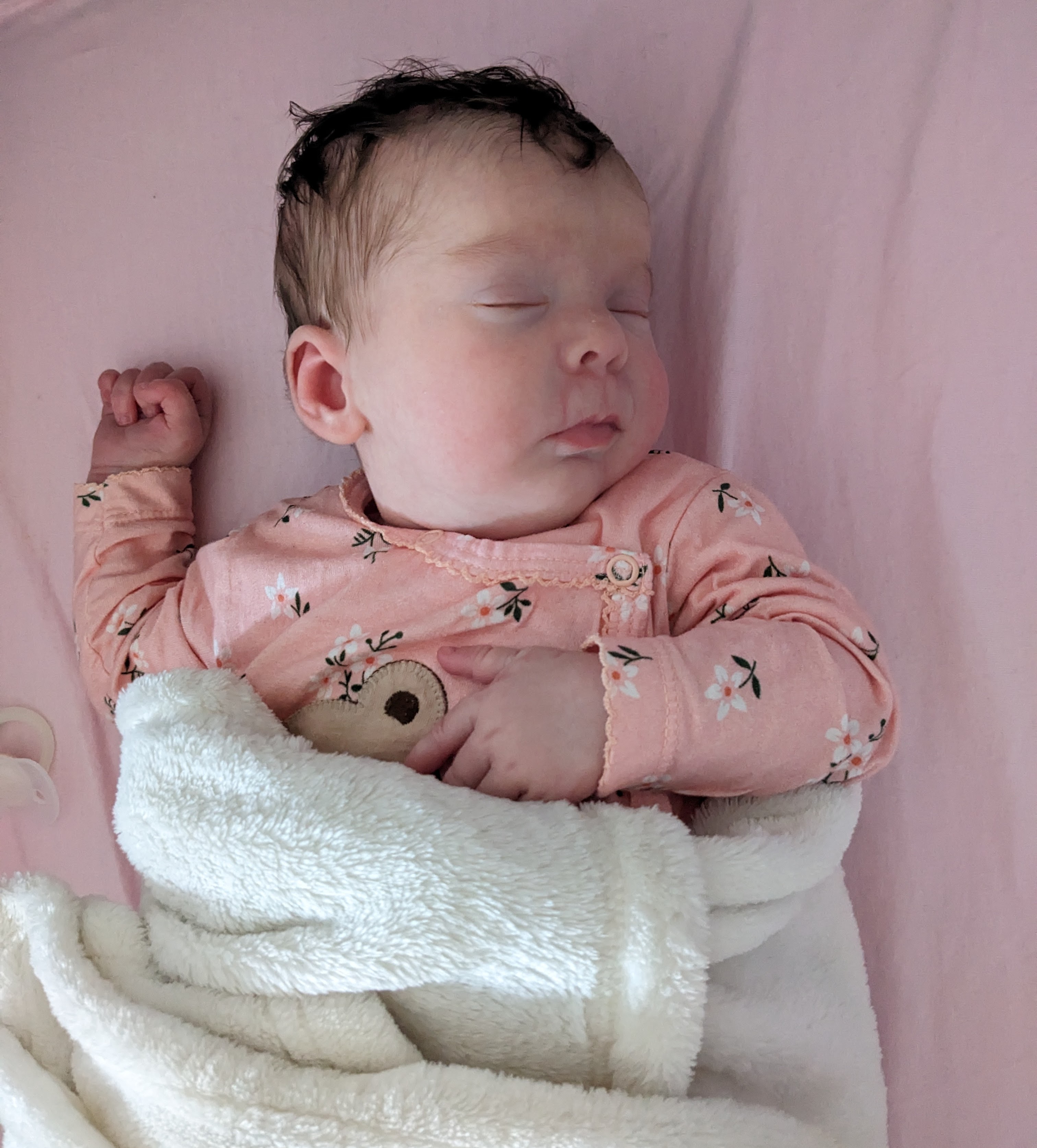 Giulia in the main gallery photo