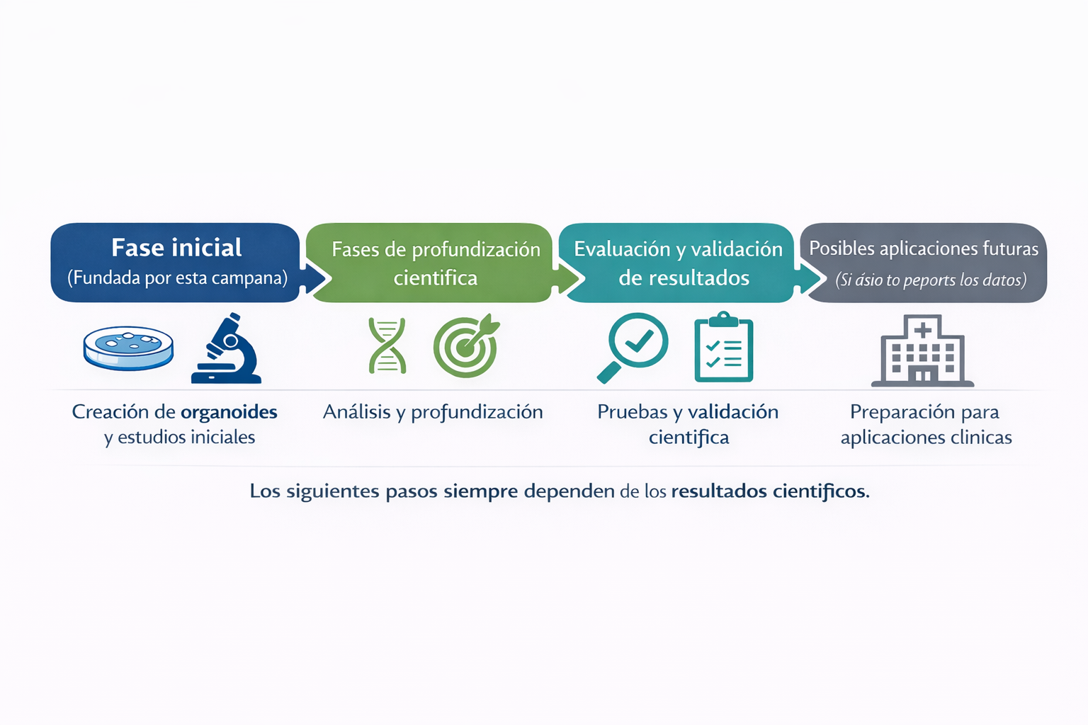 Esquema de las etapas sucesivas del programa de investigación