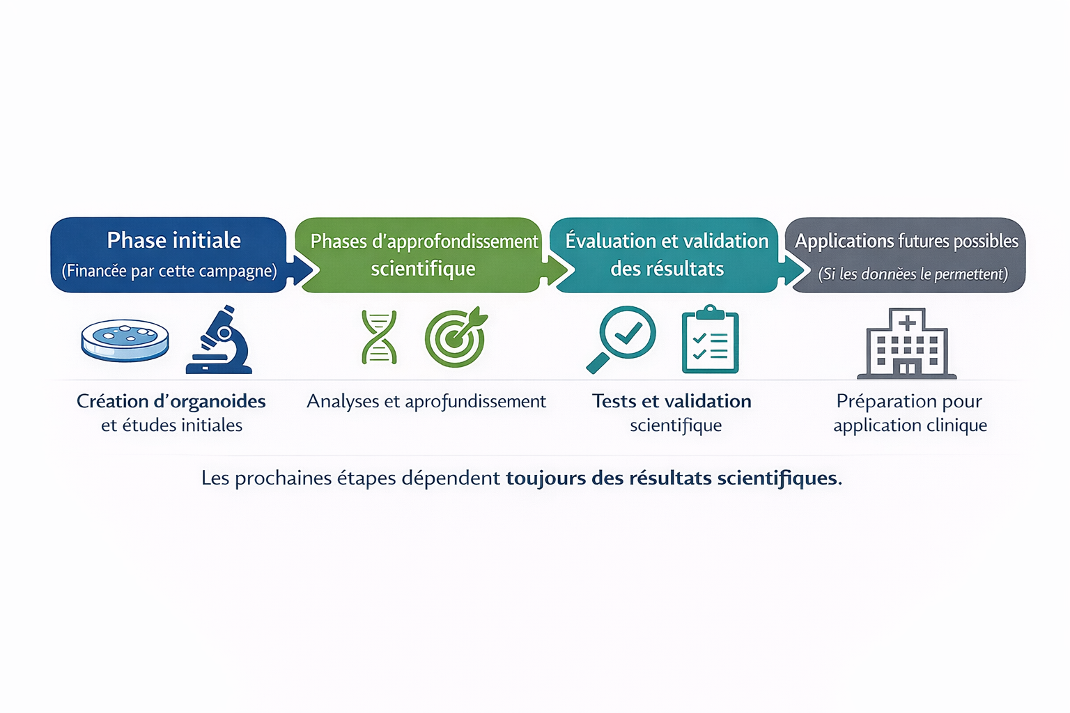 Esquema de las etapas sucesivas del programa de investigación
